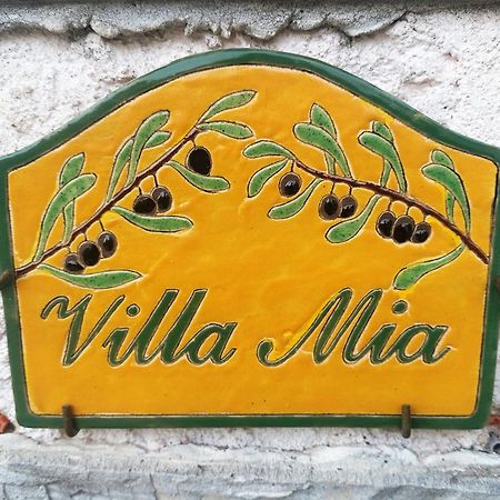 Villa Mia ヴァンス エクステリア 写真